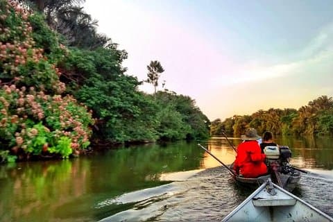 Santarém Maica Lake Tour