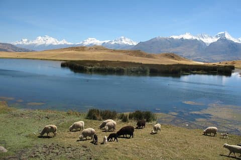 Full dagstur til Huilcaccoha Lake