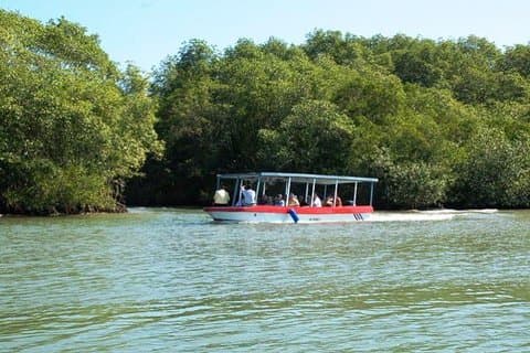 Damas Island med båttur Från Manuel Antonio