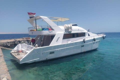 Privé snorkelboottocht naar Dolphin House vanuit Hurghada