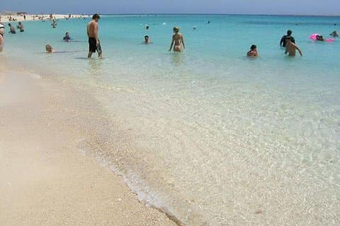 Excursion d'une journée de plongée en apnée à l'île Giftun au départ de Sahel Hashesh