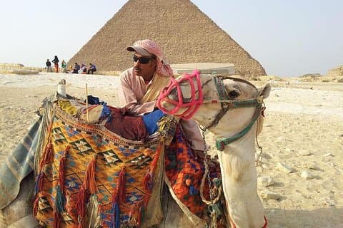 Amazing Day tour to Giza Pyramids and sakkara from Cairo