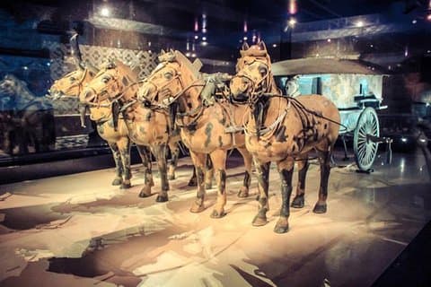 Tour privado de medio día a guerreros de terracota de Xi'an