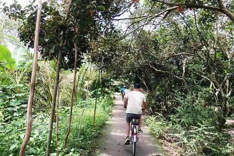 Tour privado: ciclismo y recorrido turístico en Cai Be, Delta del Mekong
