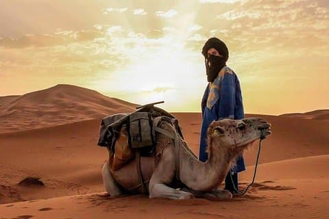 3D/2N ökentur från Fez till Marrakech (med liten grupp)