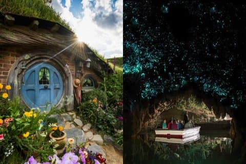 Begeleide dagtocht naar Hobbiton en Waitomo-grotten vanuit Auckland, inclusief lunch