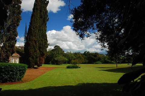 Out of Africa Tour: Giraffe Center en Karen Blixen Museum uit Nairobi