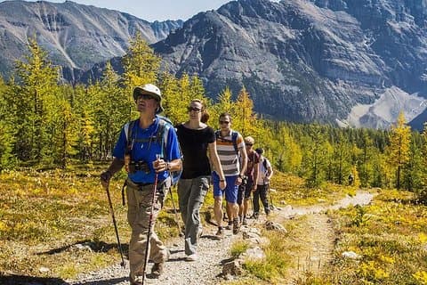 Guidet vandretur i Banff National Park med frokost
