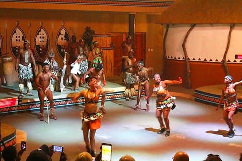 Lesedi Cultural Village e Lion Park Day Tour de Joanesburgo