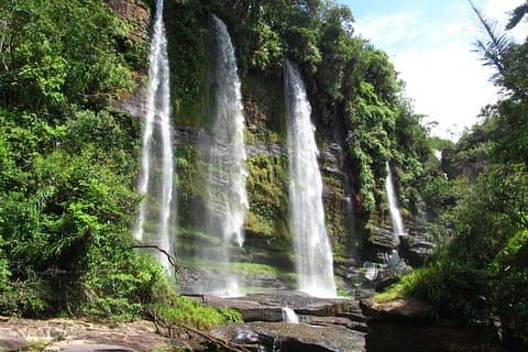 4-Day Jungle Tour til Amazonas fra Bogota