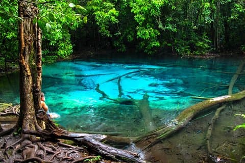 Full Day Emerald Pool y Wareerak Hot Spring Spa
