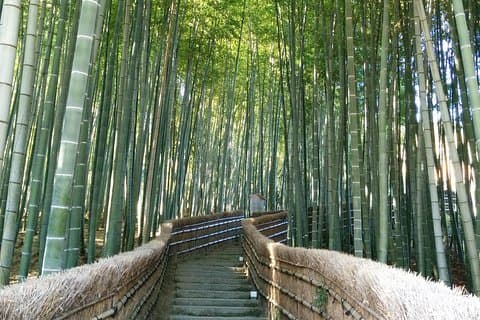 Private høydepunkter i Kyoto-tur
