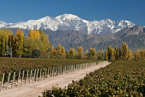 Excursão de 4 dias para Mendoza via aérea saindo de Buenos Aires
