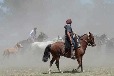 Excursion en bord de mer à Buenos Aires : excursion d'une journée sur le thème des gauchos au ranch Santa Susana