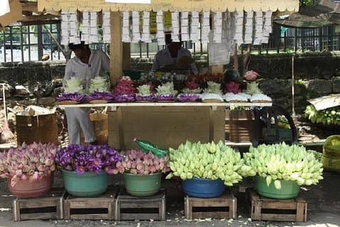 Sri-Lanka - 5 Days Private Tour of Luxurious