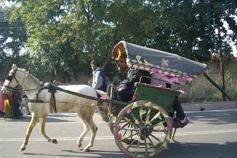 Udaipur: tour guiado a pie con el famoso paseo de Tonga
