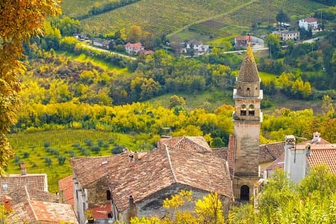 Half day trip to Motovun with Local Brandies Tasting