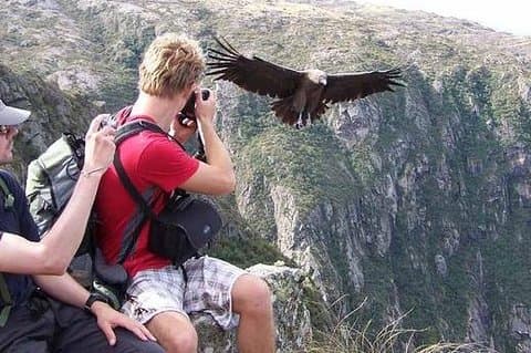 Mendoza Trekking Tour in Cordón del Plata mit argentinischem Mittagessen