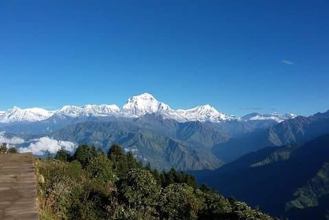 Ghorepani (Poonhill Trek)
