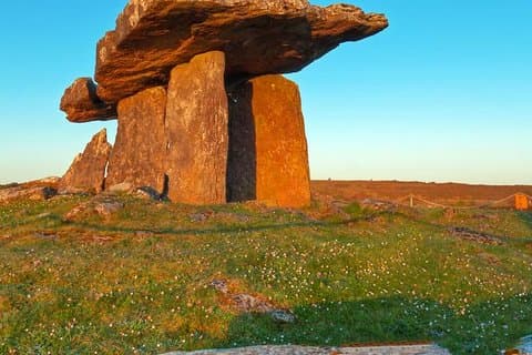 Cliffs of Moher og Burren tur fra Galway
