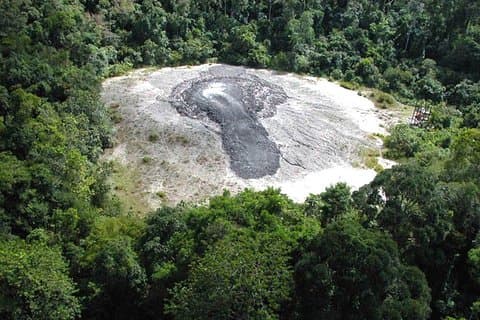 3-Day Adventure in Tabin Wildlife Reserve