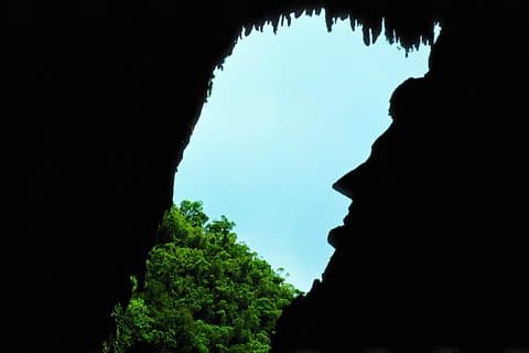 3-Day Adventure in Mulu National Park