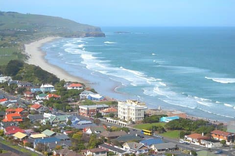 Private Führung durch das Kulturerbe von Dunedin und die einzigartige Tierwelt und Landschaft