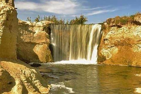 Excursion d'une journée à l'oasis de Fayoum et au Wadi El Hitan depuis le Caire ou Gizeh