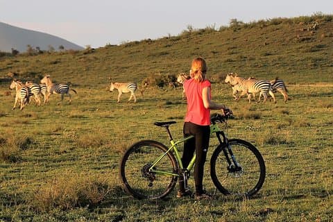 1 día Safari a pie y en bicicleta en el Parque Nacional de Arusha