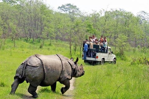 7 notti 8 giorni Kathmandu Pokhara e Chitwan Tour in Nepal