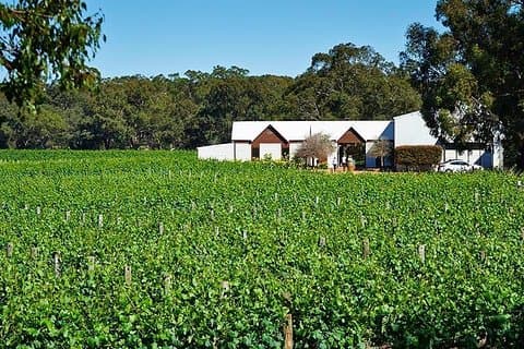 Upper Reach Winery: Swan Valley Winery and Vineyard Tour