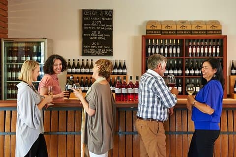 Wine 101- Wine Education Classes