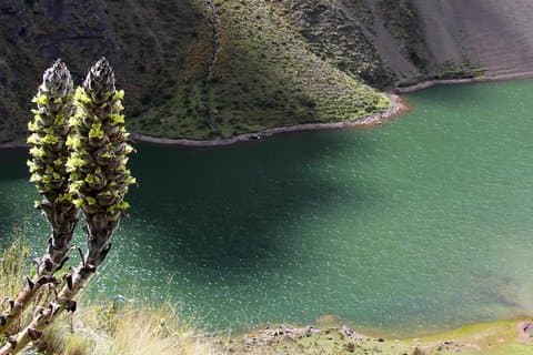 5-daagse Ancascocha Trail naar Machu Picchu (privétour)