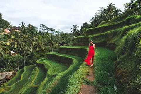 Bali romántico: tour de Ubud y Tanah Lot