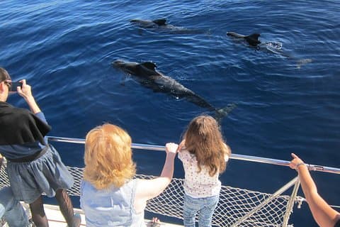 Catamarán más famoso de la isla de Tenerife - Bebidas ilimitadas