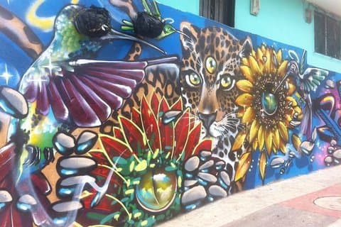 Heldags privat Medellin City, Street Art and Food Tour