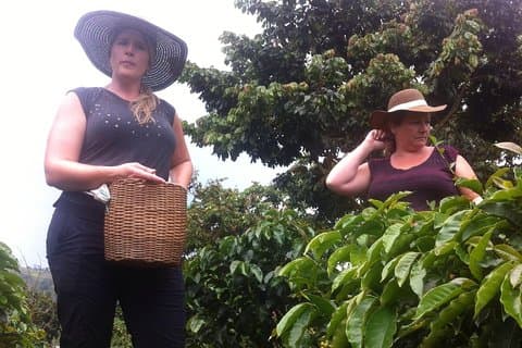 Tour de um dia para Medellin, país e região do café