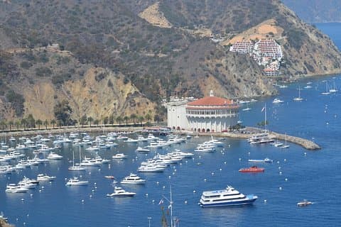 Catalina Island Dagstur fra Anaheim Hotels med Discover Avalon Tour