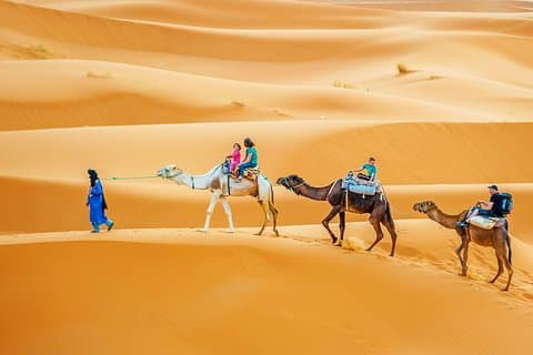 Douz : Escursione in cammello di un'intera giornata nel deserto del Sahara tunisino con pranzo