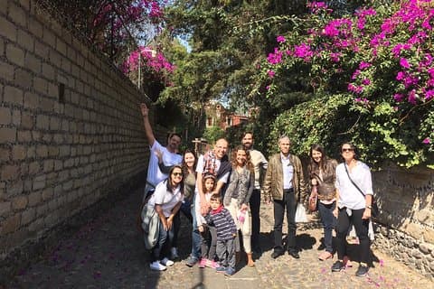 Visite gastronomique mexicaine de San Angel