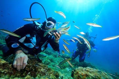 Nha Trang dyktur vid Coral Bay