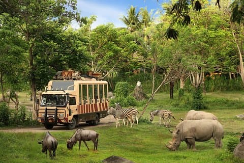 Phu Quoc : Entradas VinWonders & Safari con Traslado Privado