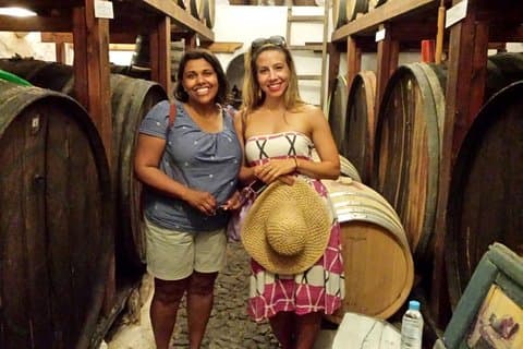 Tour privato: tour dell'antica Akrotiri e delle cantine di Santorini