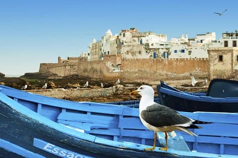Excursie van een hele dag naar Essaouira vanuit Marrakech