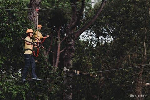 Parco avventura Il Pineto