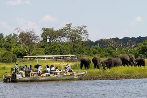 Chobe hele dag safaritrip