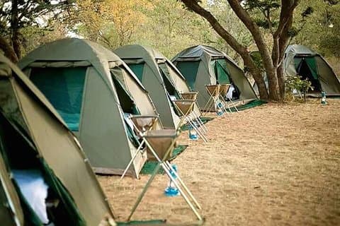 Hwange und Matopo National Park 5 Nächte Safari Tour