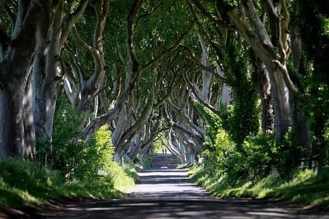 Spil af troner placeringer og Giants Causeway tour