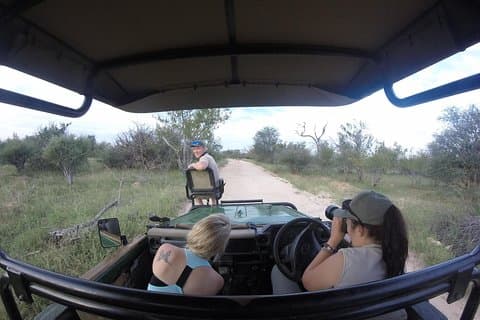 6-tägige klassische Krüger-Nationalpark-Safari ab Johannesburg