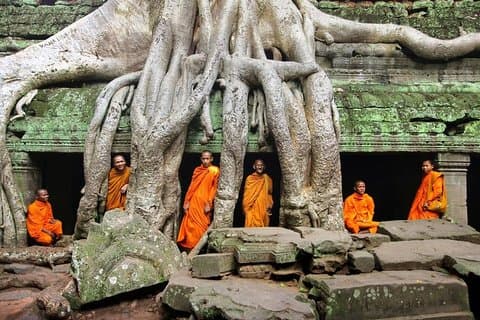 Angkor Wat-tempeltour met toegangsticket en lunch